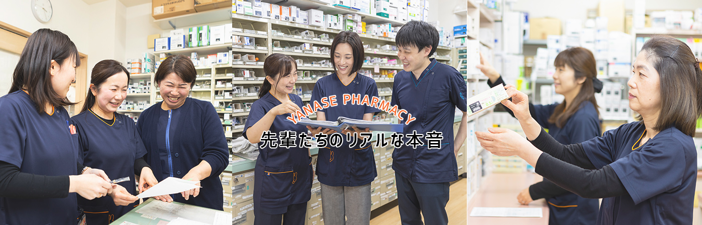 先輩たちのリアルな本音